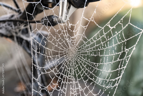 Frozen spider web hanging on the bike by the wooden fence in garden.