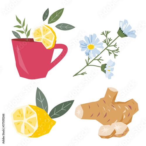 Natural cold and flu remedies, hot drink ingredients set to relieve cold and flu symptoms, flat vector illustration isolated on white background.