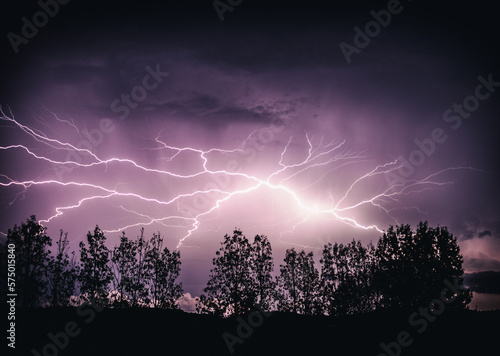 Lightnings over trees
