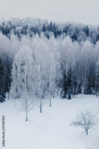 Early morning view of the frozen forest from the tower. In Estonia, near Karula National Park