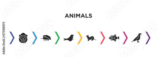 animals filled icons with infographic template. glyph icons such as orangutan, hegdehog, sea lion, polecat, clownfish, raven vector.