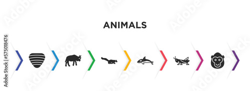 animals filled icons with infographic template. glyph icons such as clam, wildebeest, mongoose, orca, grasshopper, ape vector.