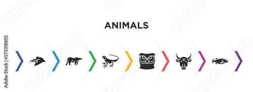 animals filled icons with infographic template. glyph icons such as crow, polar bear, iguana, big owl, bull, big fish vector.
