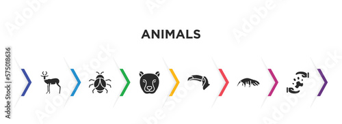 animals filled icons with infographic template. glyph icons such as antelope, big bug, cheetah, big toucan, anteater, pet care vector.