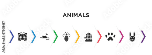animals filled icons with infographic template. glyph icons such as insect, mouse toy, louse, cage, paw, cute bunny head vector.
