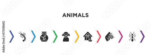 animals filled icons with infographic template. glyph icons such as grub, terrarium, poodle, doghouse, bug on leaf, ant vector.