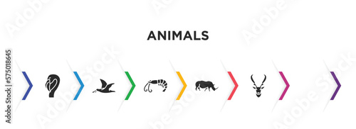animals filled icons with infographic template. glyph icons such as flamingo, albatross, prawn, rat, rhinoceros, elk vector.