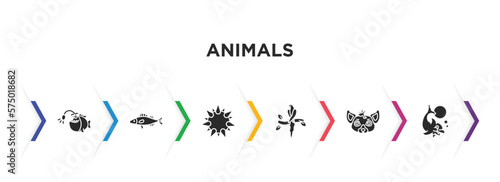 animals filled icons with infographic template. glyph icons such as angler, zander, sea urchin, aw, hyena, dolphin jumping vector. photo