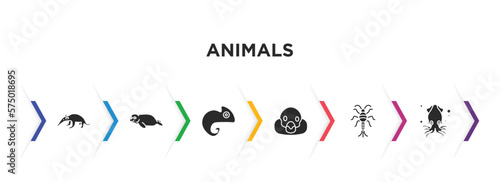 animals filled icons with infographic template. glyph icons such as ant eater, seal, chameleon, snigir, silverfish, squid vector.