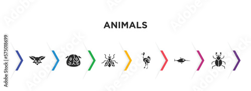animals filled icons with infographic template. glyph icons such as fennec fox, guinea pig heag, fly, ostrich, swordfish, mite vector.