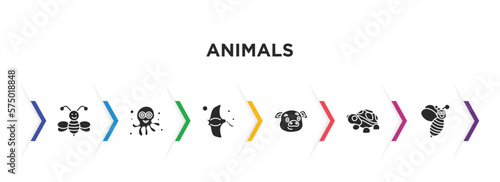animals filled icons with infographic template. glyph icons such as bee, octopus, manta ray, pig, turtle, wasp vector.