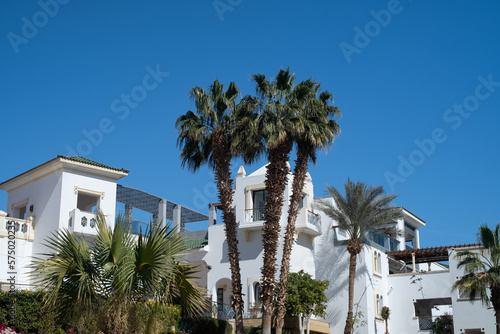 Palm trees against white home by the beach with blue sky and sand The top of the house or apartment with nice window