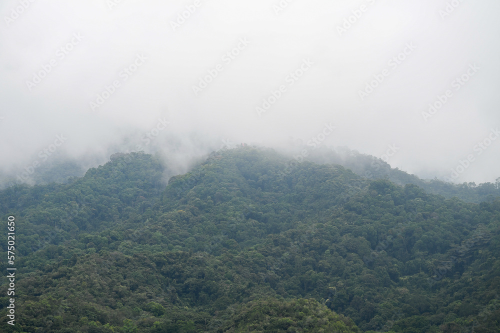 
green mountain with white mist