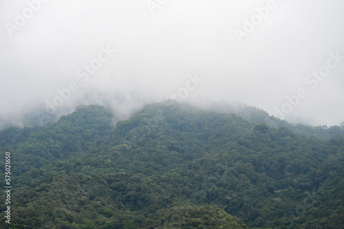  green mountain with white mist