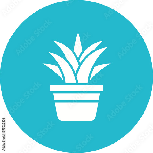 Spider Plant Icon