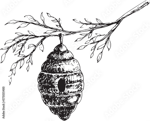 Bee Hive vector drawing. Hand drawn illustration of Beehive on isolated background in outline style. Monochrome sketch of insect home for production honey. Engraving in white and black colors for icon