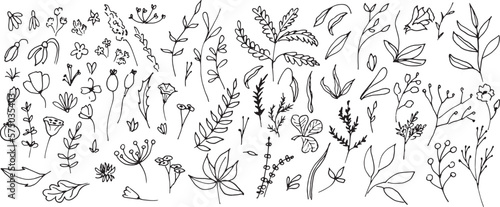 Big Set of vector Plants in Doodle style. Hand drawn illustration in monochrome black and white colors. Floral collection with clover and flowers on isolated background. Outline branches for icon.