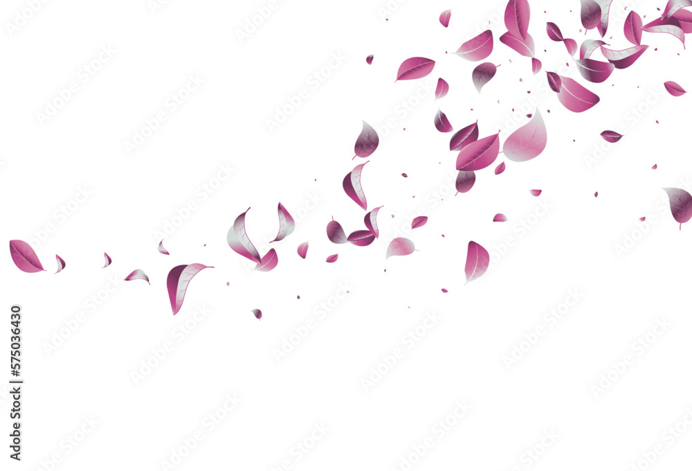 Lilac Leaf Ecology Vector White Background