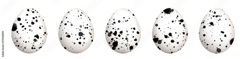 Eggs set on white background Eggs set on white background