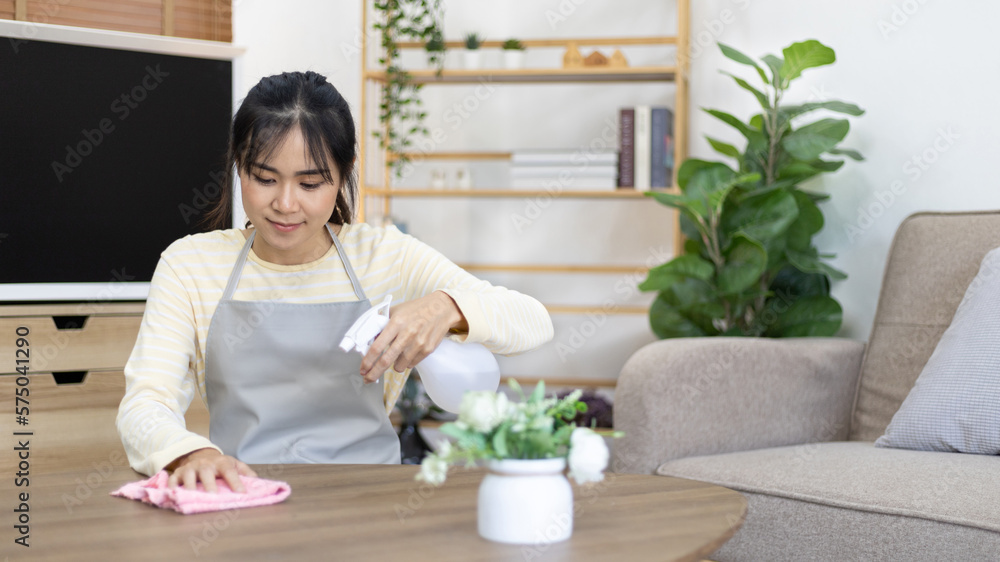 Housewife is cleaning things or Wipe down and dining table in the house the living room, Big cleaning, Housework, Daily routine ,Removes germs and dirt and deep stains, Spray alcohol, Clean up. Housewife is cleaning things or Wipe down and dining table in the house the living room, Big cleaning, Housework, Daily routine ,Removes germs and dirt and deep stains, Spray alcohol, Clean up.