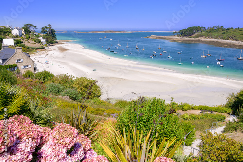 Plage de Béniguet à côté de l'Aber Benoît à marée basse durant une journée estivale avec des fleurs au 1er plan - Saint-Pabu (Finistère) en Bretagne photo