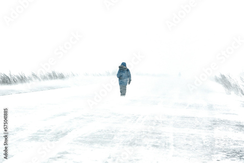 Wallpaper Mural Snowstorm in the city winter is cold a teenager is walking along the road he is blown away by the wind. Torontodigital.ca