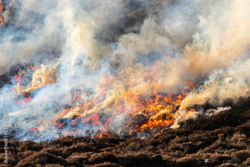 Fotografia The controlled burning of heather moorland (swailing or muirburn) in winter on t