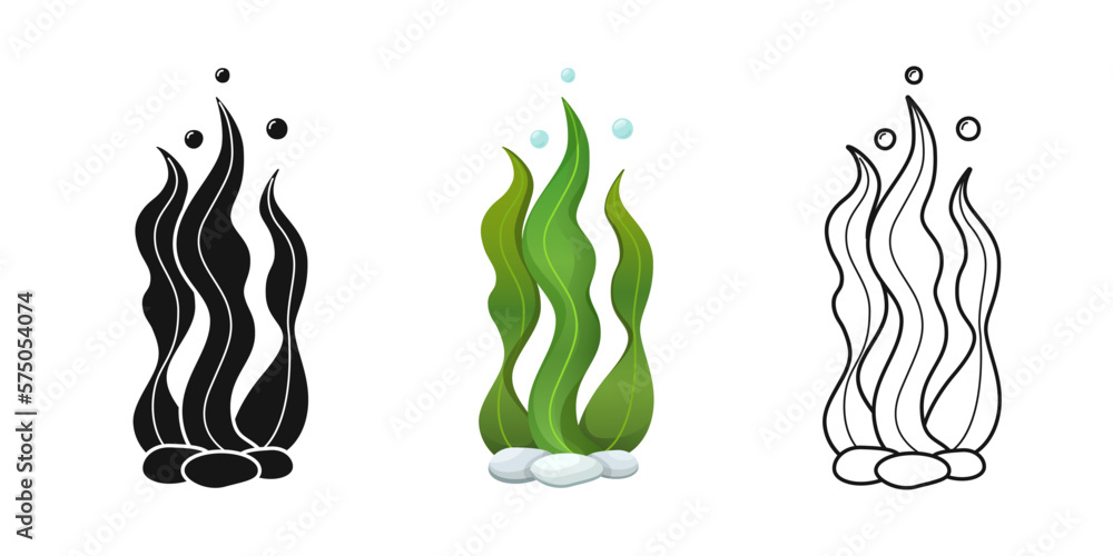 Fototapeta Seaweed vector set. Sea plant, kelp icon