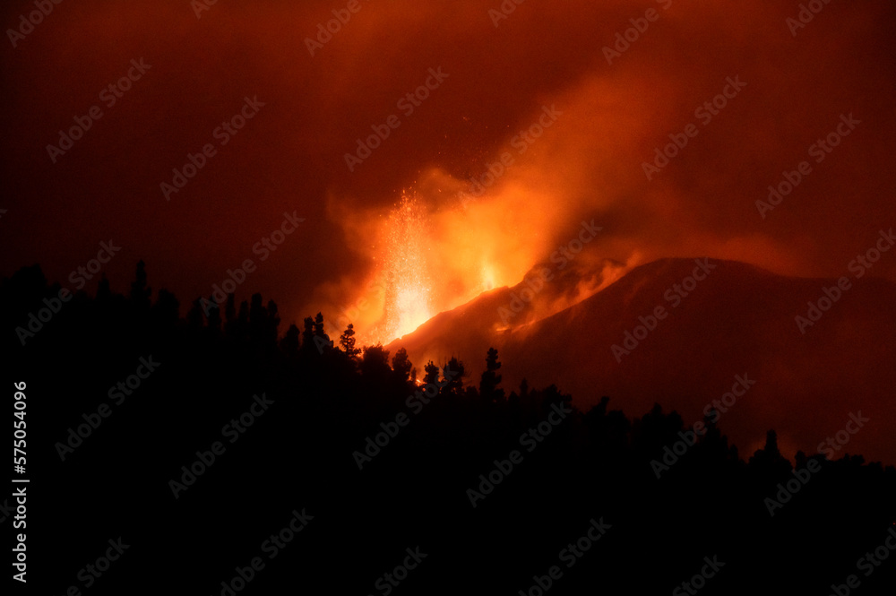 Eruption of Cumbre Vieja with silhouette of trees in La Palma, Canary Islands