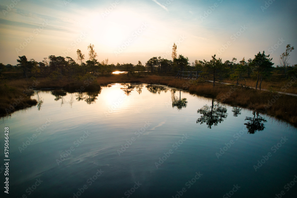 Fototapeta premium A drone photo of expansive summer swamps with winding streams, tall reeds and grasses, and green and brown wetlands. Capturing the nature scenery of this remote and unspoiled wilderness