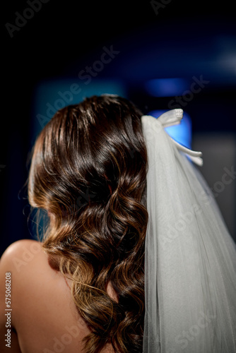 Bridal vail with brown hair