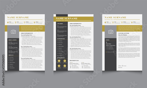Professional CV Template or Jobs Resumes Design Black and White Cover Letter Layout