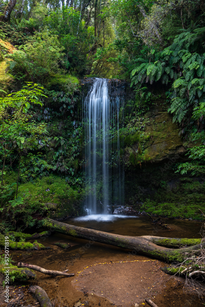 Obraz premium Wasserfall in Urwald oder Regenwald mit Baumstamm und grünen Pflanzen und Fels.