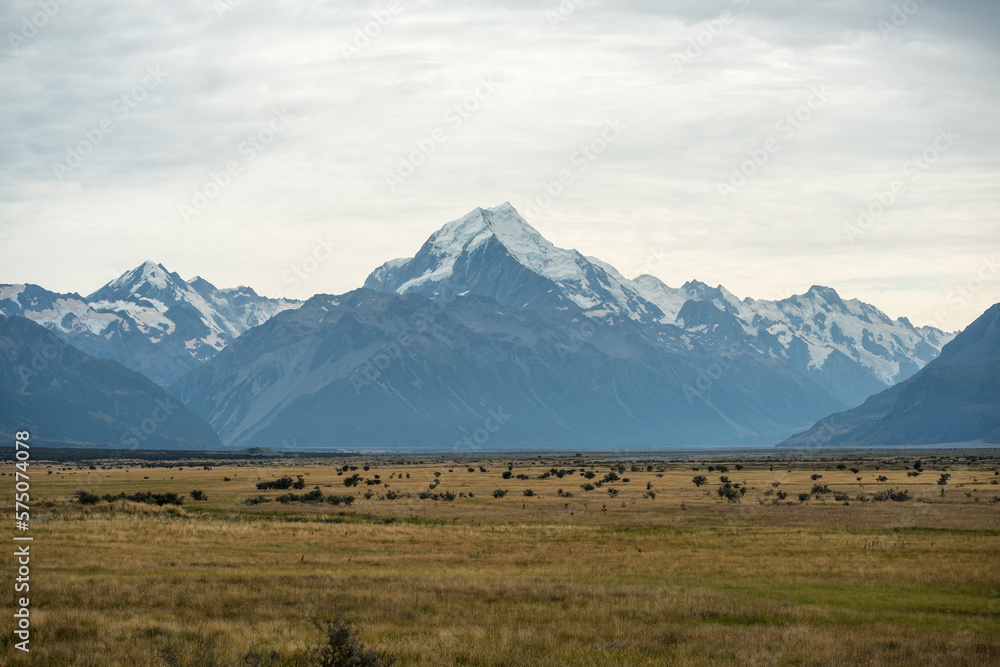 Graslandschaft in einer Ebene mit Bergen und Gletschern im Hintergrund in Neuseeland.