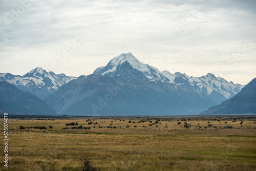 Graslandschaft in einer Ebene mit Bergen und Gletschern im Hintergrund in Neuseeland. © hannesheigl