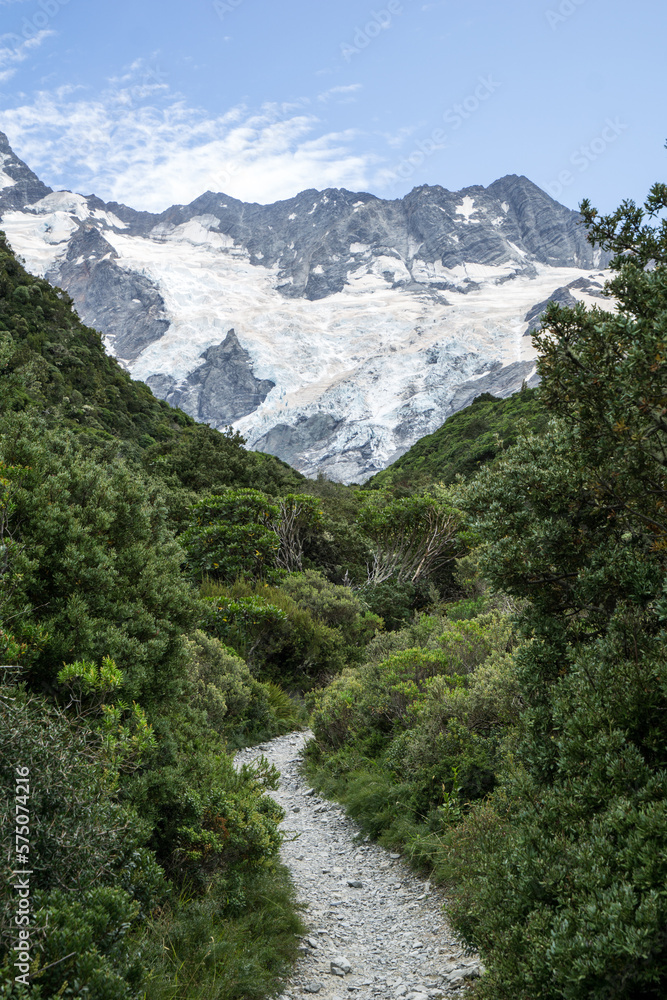 Fototapeta premium Gletscher in Neuseelands Alpen mit Gipfel und Eis und Urwald.