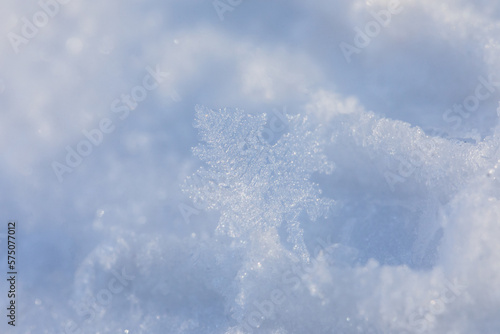 snowflake with visible structure on the fresh snow