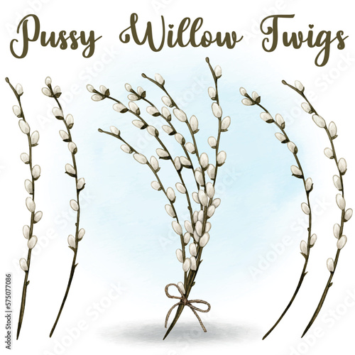 Watercolor pussy willow decoration