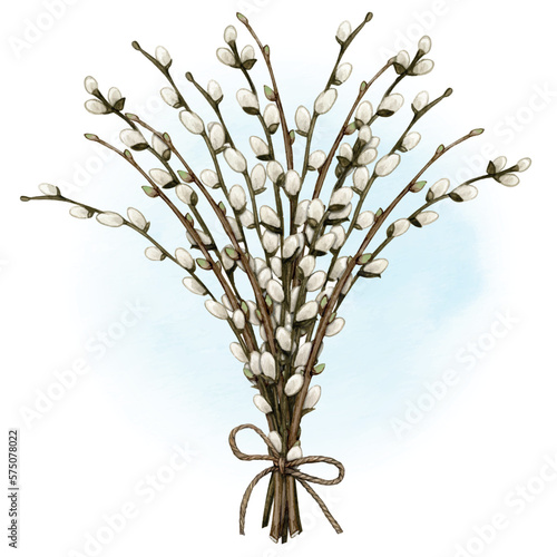 Watercolor pussy willow decoration