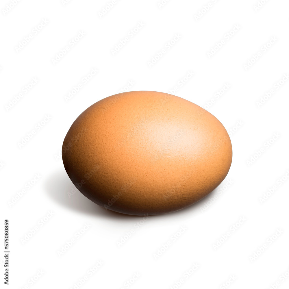 Brown egg casting shadow on a white background Brown egg casting shadow on a white background