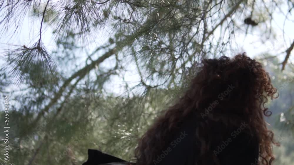 A beautiful tourist woman turns her back to the camera in a pine forest ...