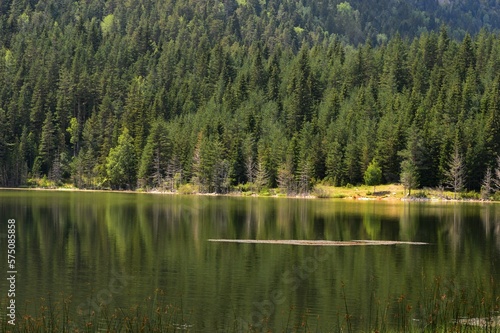 Fototapeta Naklejka Na Ścianę i Meble -  natural lake on the mountain