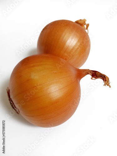 Wallpaper Mural Onion on a white background Torontodigital.ca