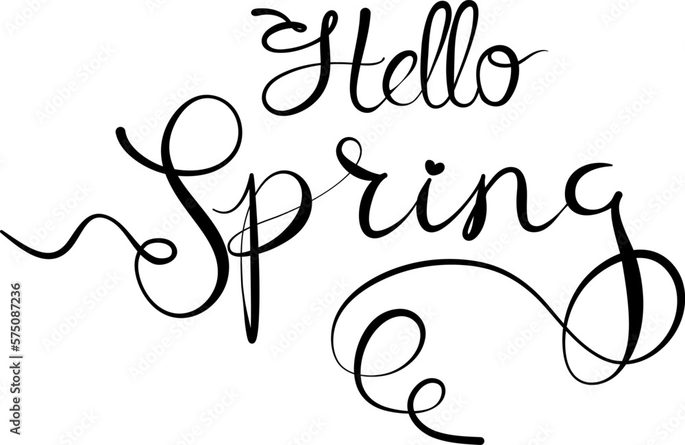 Hello, Spring lettering - hand drawing calligraphy words. Isolated on white background. typography lettering quote, brush calligraphy banner with thin line