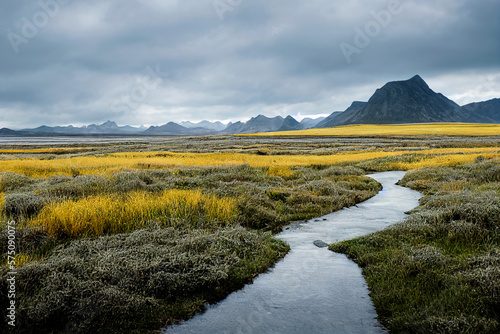 Beautiful flower field with cute little water flows through Generative AI