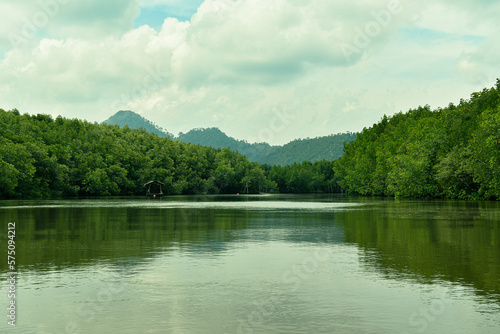  Mangrove forest and river and life culture Ban Nam Rap  Khao Jom Pa  Amphoe Kantang  Trang Province  Thailand