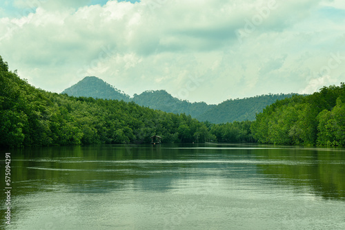 
 Mangrove forest and river and life culture Ban Nam Rap, Khao Jom Pa, Amphoe Kantang, Trang Province, Thailand photo