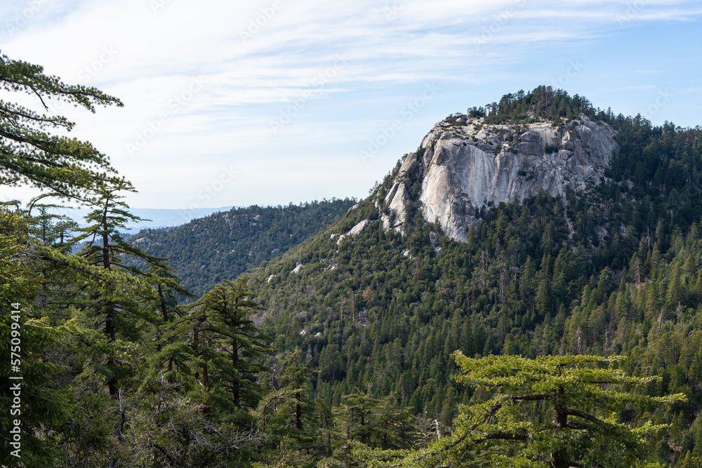 Views while hiking in the beautiful and scenic mountain town of Idyllwild, California.