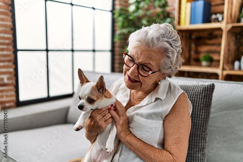 Senior grey-haired woman smiling confident holding chiuahua sitting on sofa at home photo