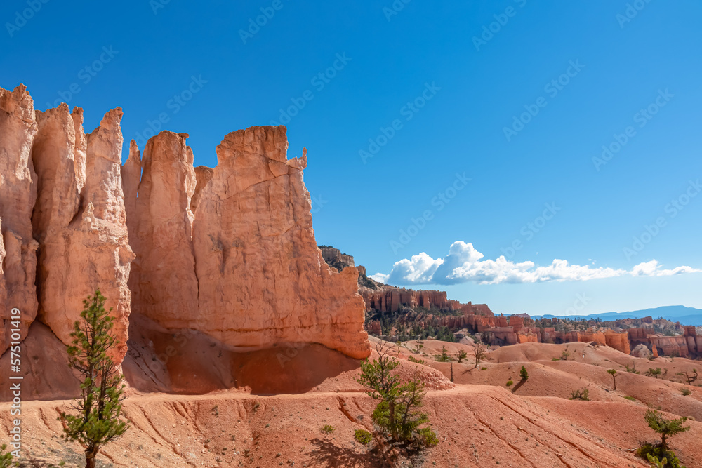 Panoramic Fairyland hiking trail with scenic view on massive hoodoo wall sandstone rock formation in Bryce Canyon National Park, Utah, USA. Pine trees along the way. Unique nature in barren landscape